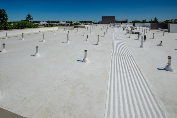 Skylights in Natalbany, LA